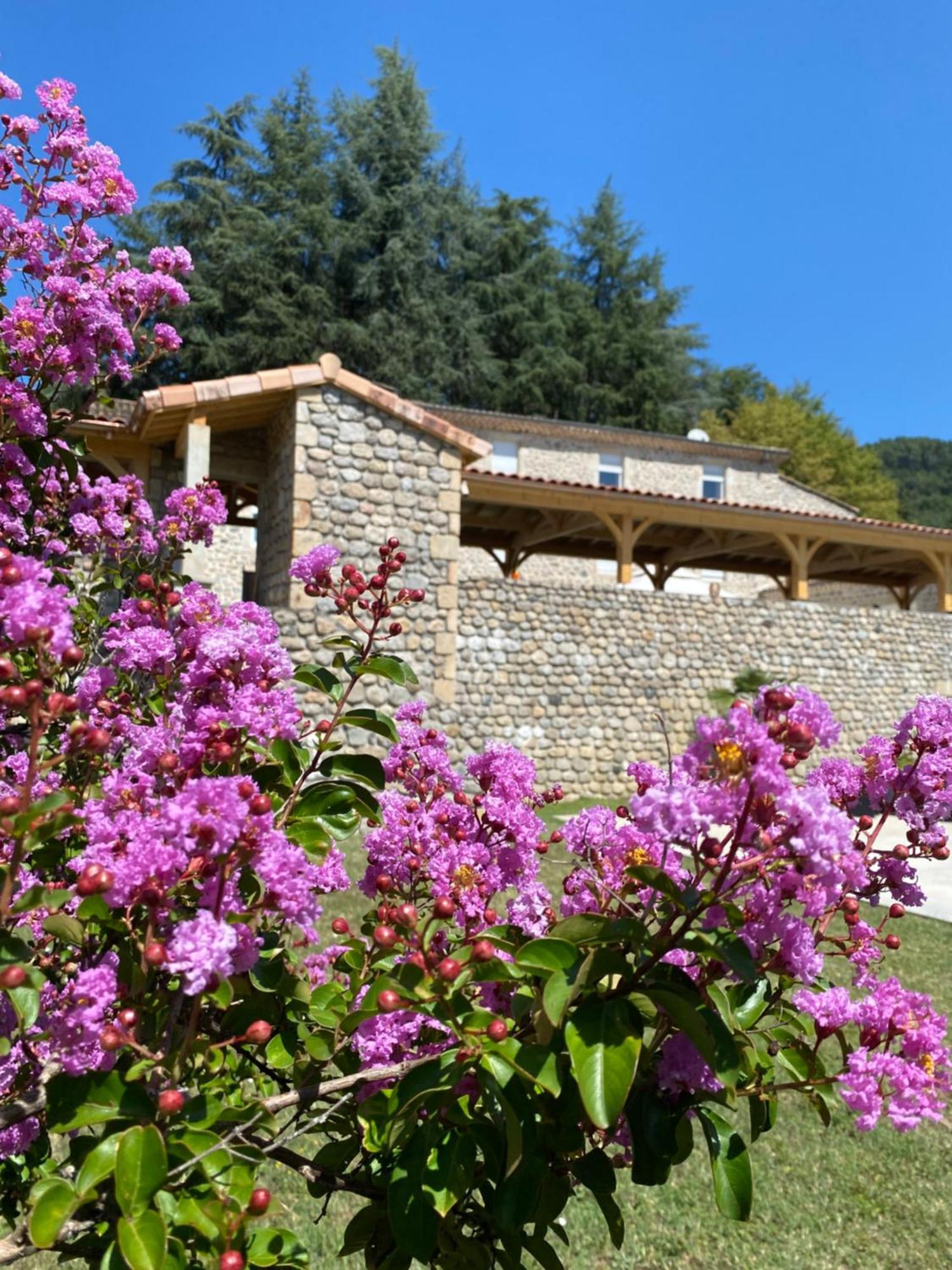 Bed and Breakfast Domaine Les Buis Saint-Fortunat-sur-Eyrieux Esterno foto